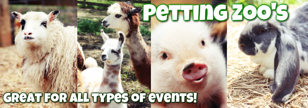 Image result for petting zoo